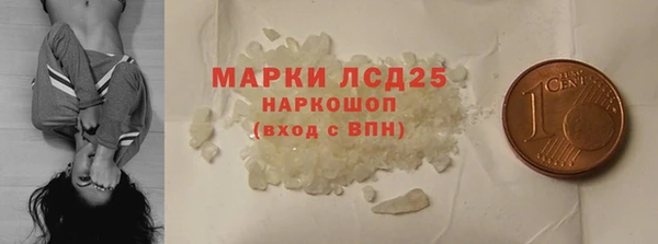 шишки Баксан