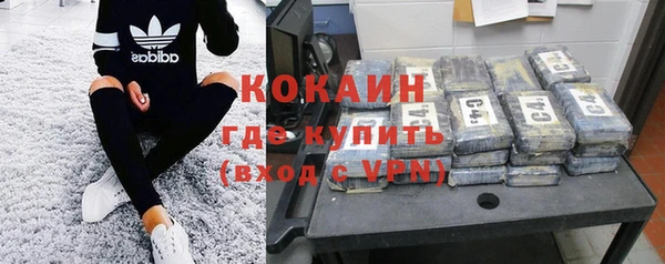 шишки Баксан