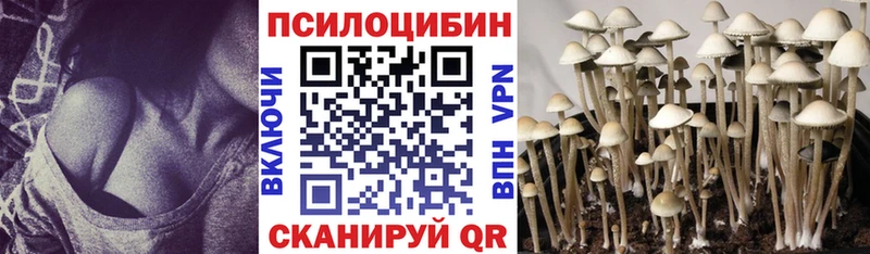 Псилоцибиновые грибы мухоморы  Кировск 