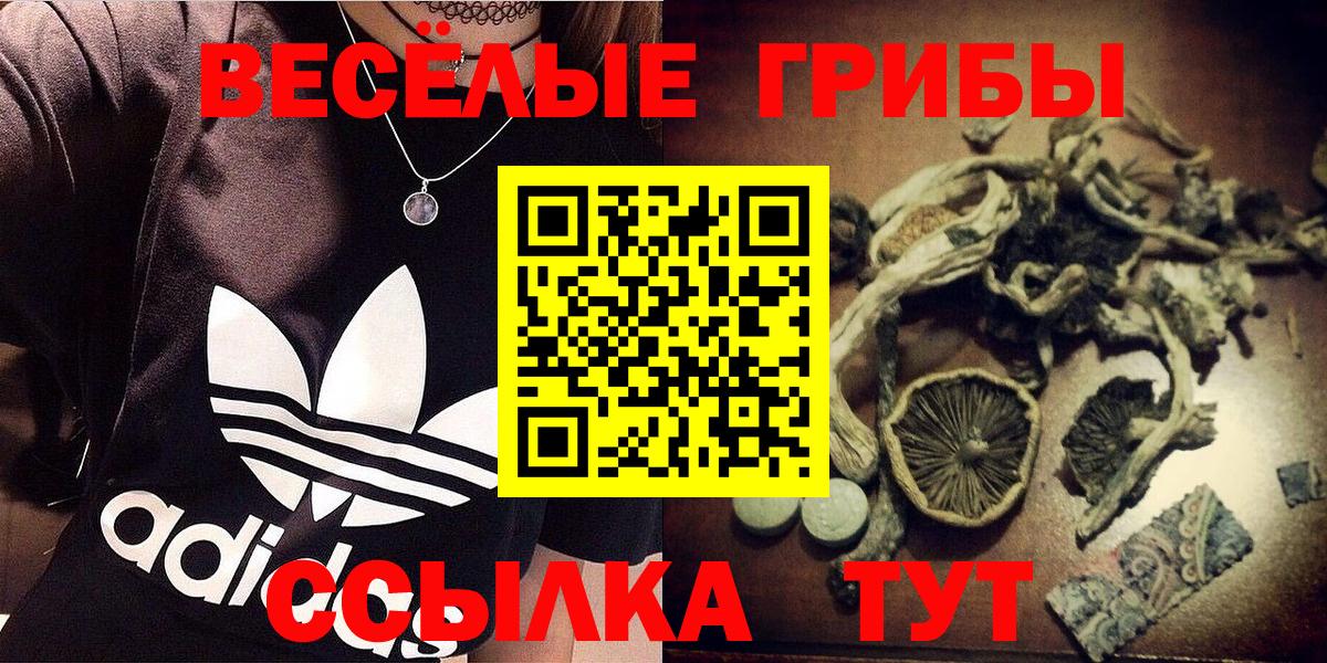 Галлюциногенные грибы мицелий  Вход с VPN  Кировск 