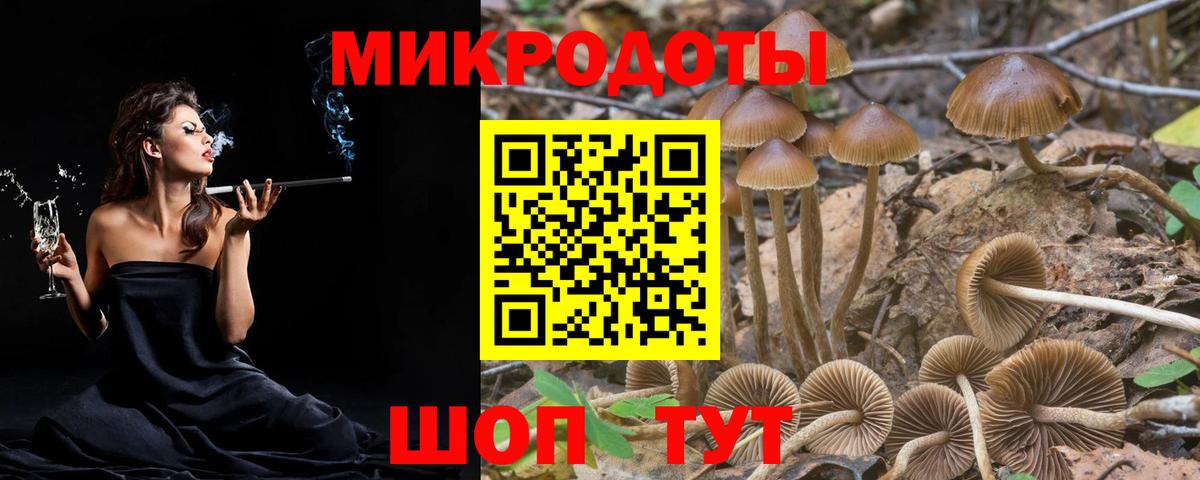 Псилоцибиновые грибы прущие грибы Кировск